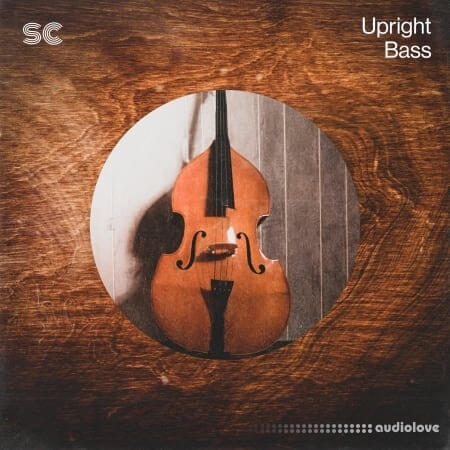 Sonic Collective Upright Bass