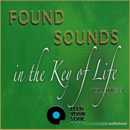 Feed Your Soul Music Found Sounds Vol.3  Sounds in The Key of Life