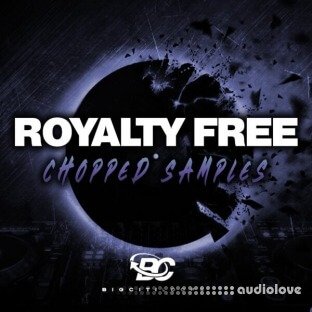 Big Citi Loops Royalty Free Chopped Samples