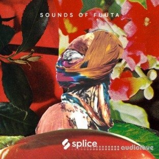 Splice Sessions Sounds of Fuuta