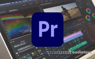 SkillShare Premiere Pro 2021: Beginner to Advanced in 2 Days Masterclass