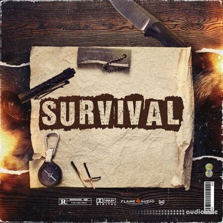 Flame Audio Survival