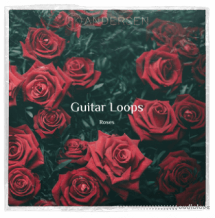 BK Andersen Guitar Loops Roses