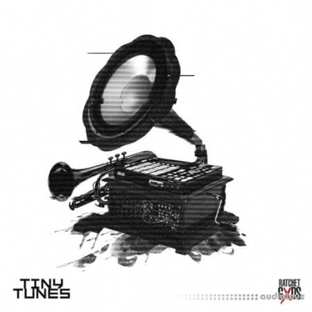 Sound Junkie Tiny Tunes by Sound Junkie