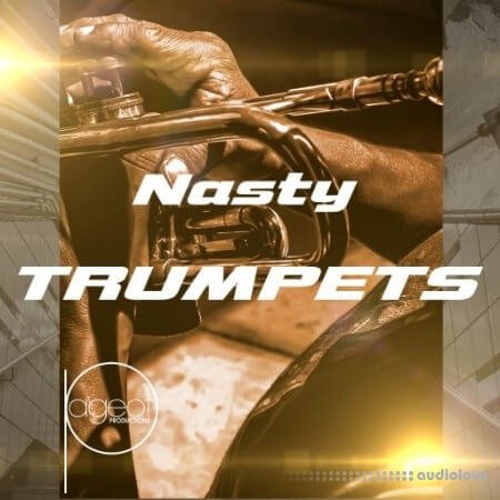 Steve Pageot Nasty Trumpets