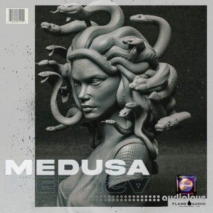 Flame Audio Medusa