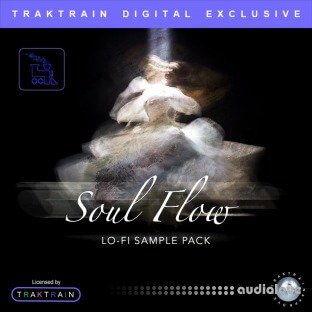 TrakTrain Soul Flow Lo-Fi Sample Pack