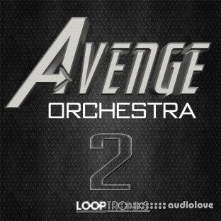 Looptroniks Avenge Orchestra 2