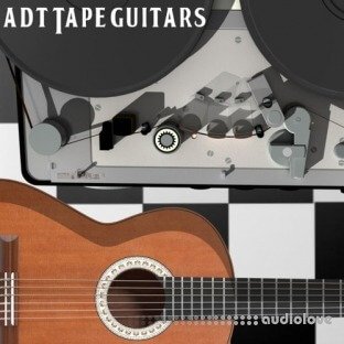 Past To Future Samples ADT Guitars