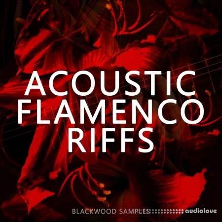 Blackwood Samples Acoustic Flamenco Riffs