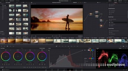 LinkedIn DaVinci Resolve Color Page