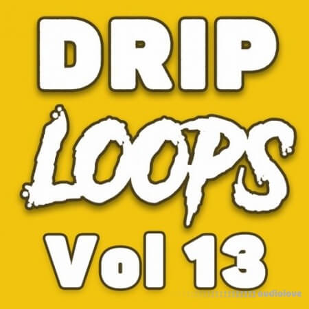 DiyMusicBiz Drip Loops Vol.13