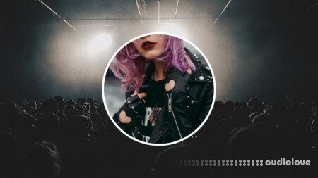 Udemy Branding for Music Artists: The Fan Magnet