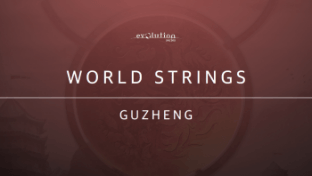 Evolution Series World Strings Guzheng