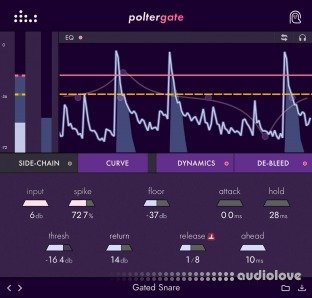 Denise Audio poltergate