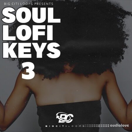 Big Citi Loops Soul Lofi Keys 3