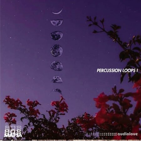 Onlyxne 808 Mafia Percussion Loops 001