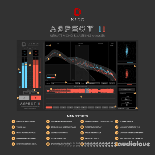 DIFF Devices ASPECT II