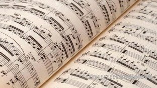 Udemy J.S. Bach: Minuet in G Major BWV Anh. 114, Experts Execution