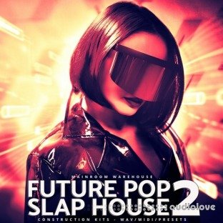 Mainroom Warehouse Future Pop Slap House 2