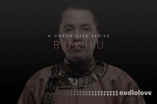 Evolution Series Chronicles Bukhu