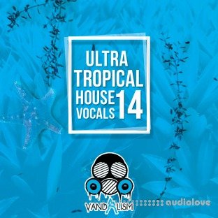 Vandalism Ultra Tropical House Vocals 14