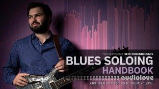 Truefire Seth Rosenbloom's Blues Soloing Handbook