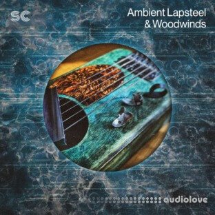 Sonic Collective Ambient Lapsteel and Woodwinds