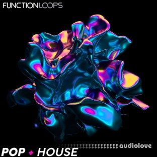 Function Loops Pop + House