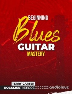 Rock Like The Pros Beginning Blues Guitar Mastery Book