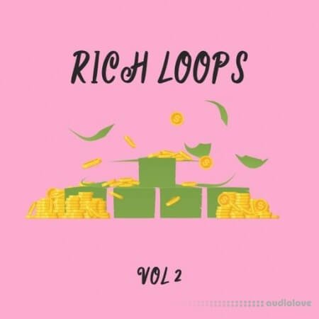 DiyMusicBiz Rich Loop Vol.2