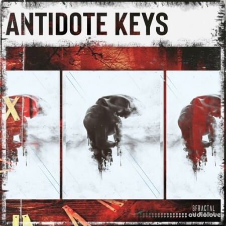 BFractal Music Antidote Keys