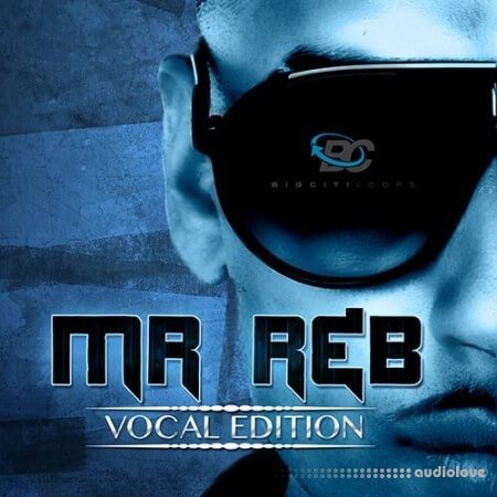 Big Citi Loops Mr. RnB Vocal Edition