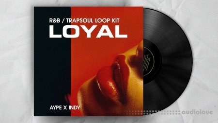 Aypebeatz LOYAL + Stems