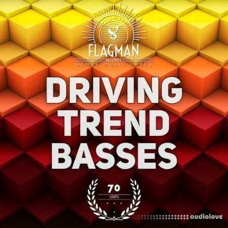 Flagman Driven Trend Basses