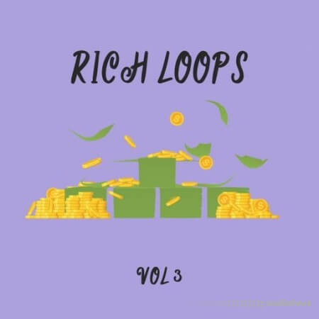 DiyMusicBiz Rich Loop Vol.3