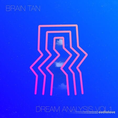 RARE Percussion Brain Tan Dream Analysis Vol.1