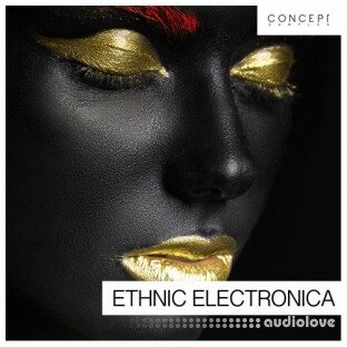 Concept Samples Ethnic Electronica