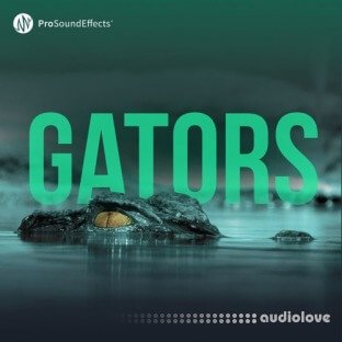 Pro Sound Effects Gators