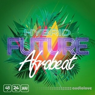 Epic Stock Media Hybrid Future Afrobeat