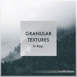 Whitenoise Records Granular Textures In Key