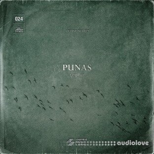 UNKWN Sounds Punas Vol.1 (Compositions and Stems)