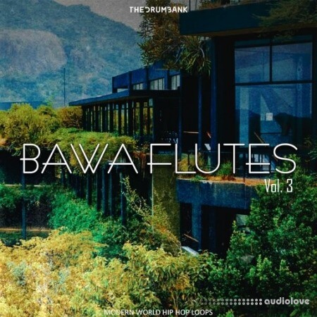 Dynasty Loops Bawa Flutes 3