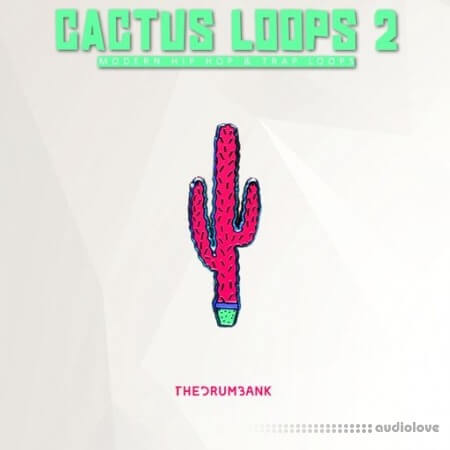 Dynasty Loops Cactus Loops 2