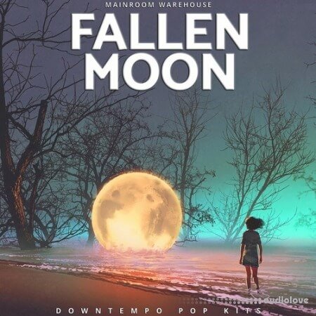 Mainroom Warehouse Fallen Moon Downtempo Pop