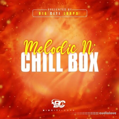 Big Citi Loops Melodic N Chill Box 1