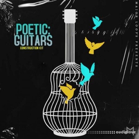 Major Loops Poetic Guitars