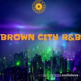 Loops 4 Producers Brown City RnB