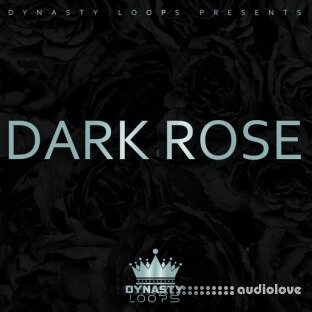 Dynasty Loops DARK ROSE