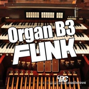 Big Citi Loops Organ B3 Funk